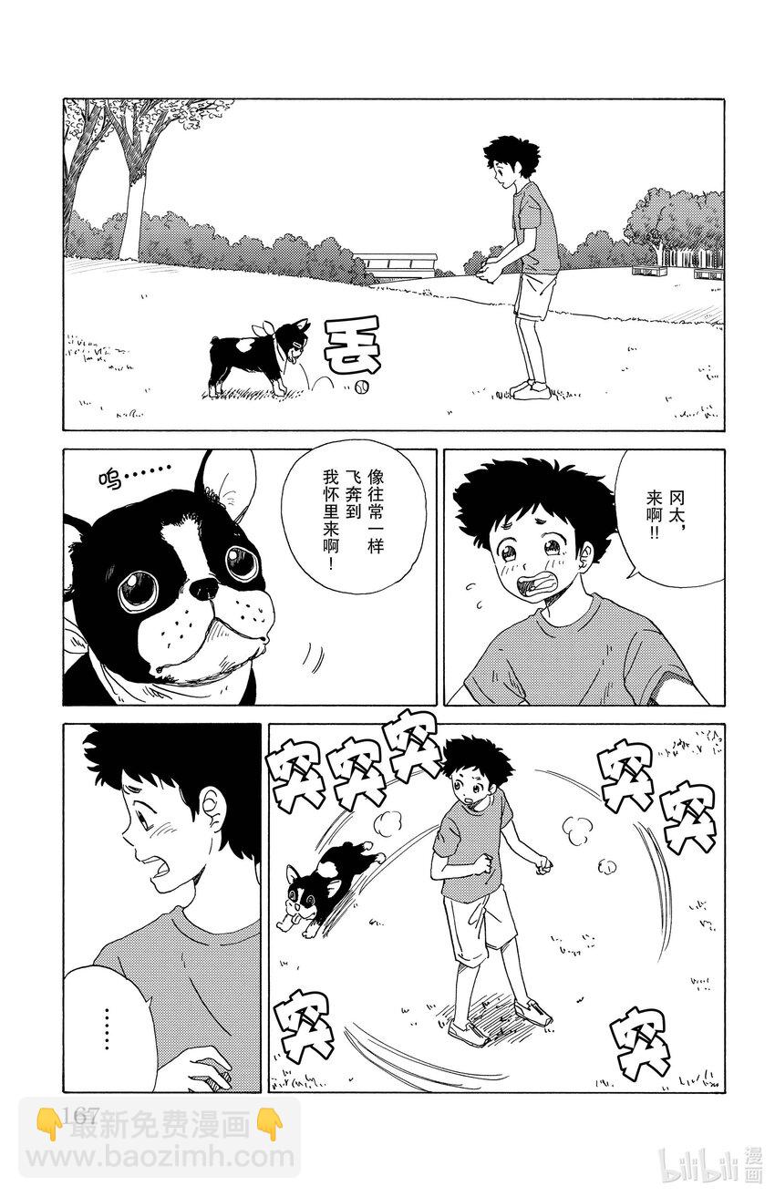 31 更新8