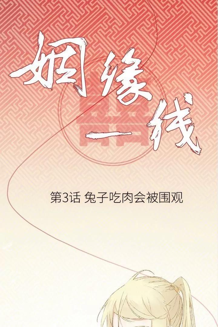 第3话 兔子吃肉会被围观0