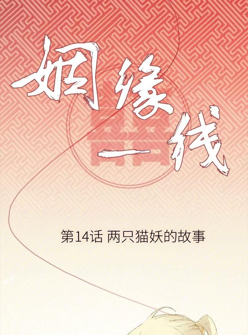 第14话 两只猫妖的故事0
