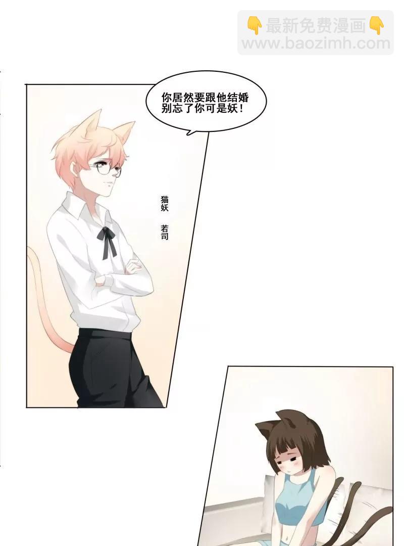 第14话 两只猫妖的故事12