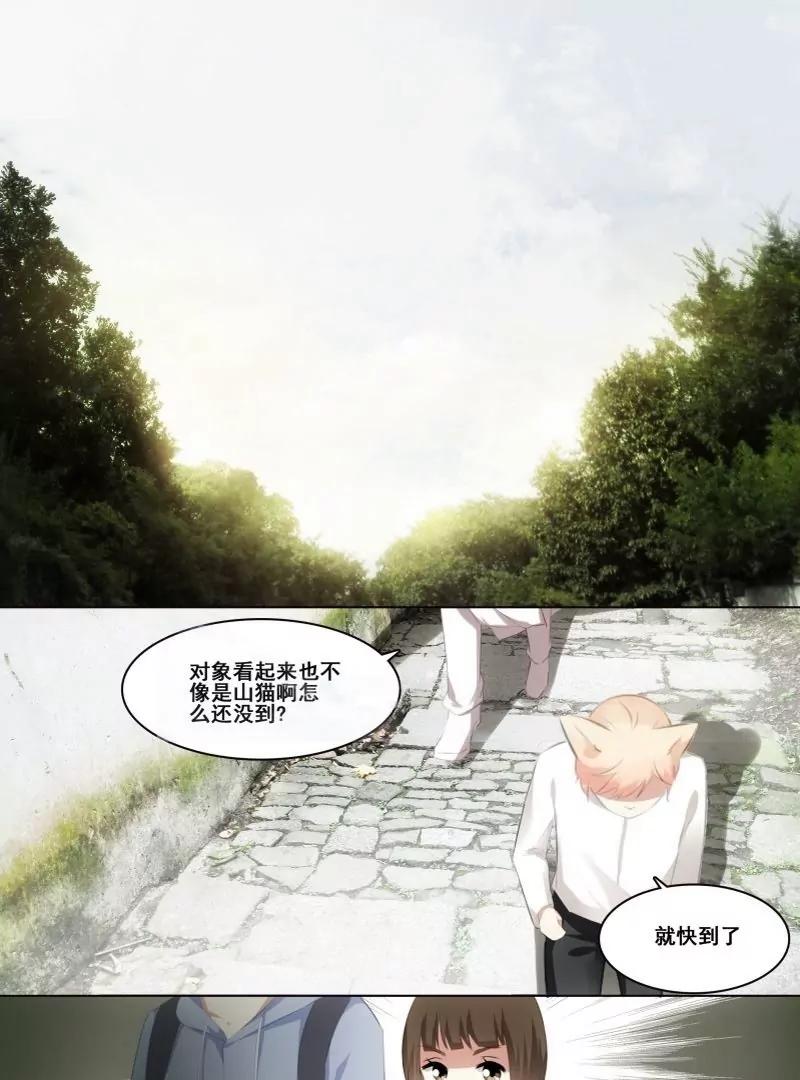 第15话 白猫若司的委托12