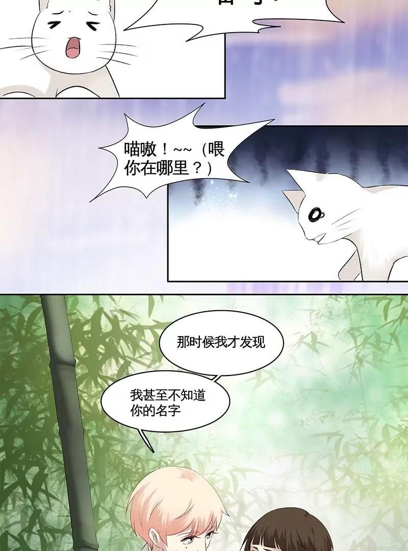 第21话 喜欢及你的心意6