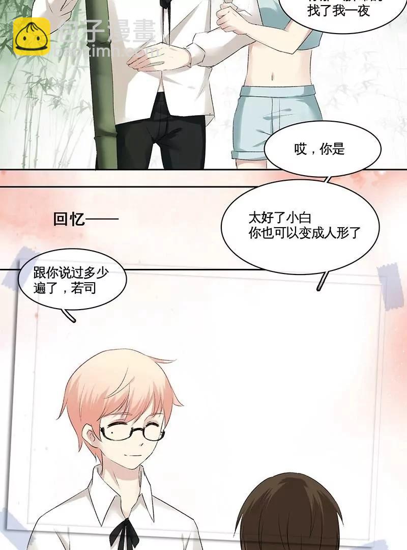 第21话 喜欢及你的心意8