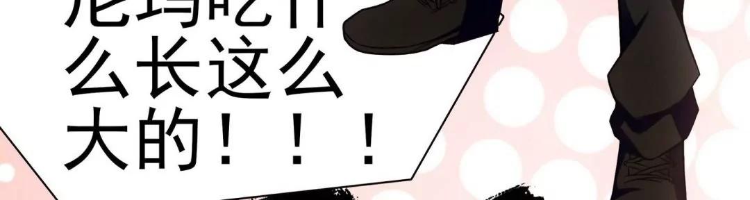 第38话 签订契约的魔法兔子13