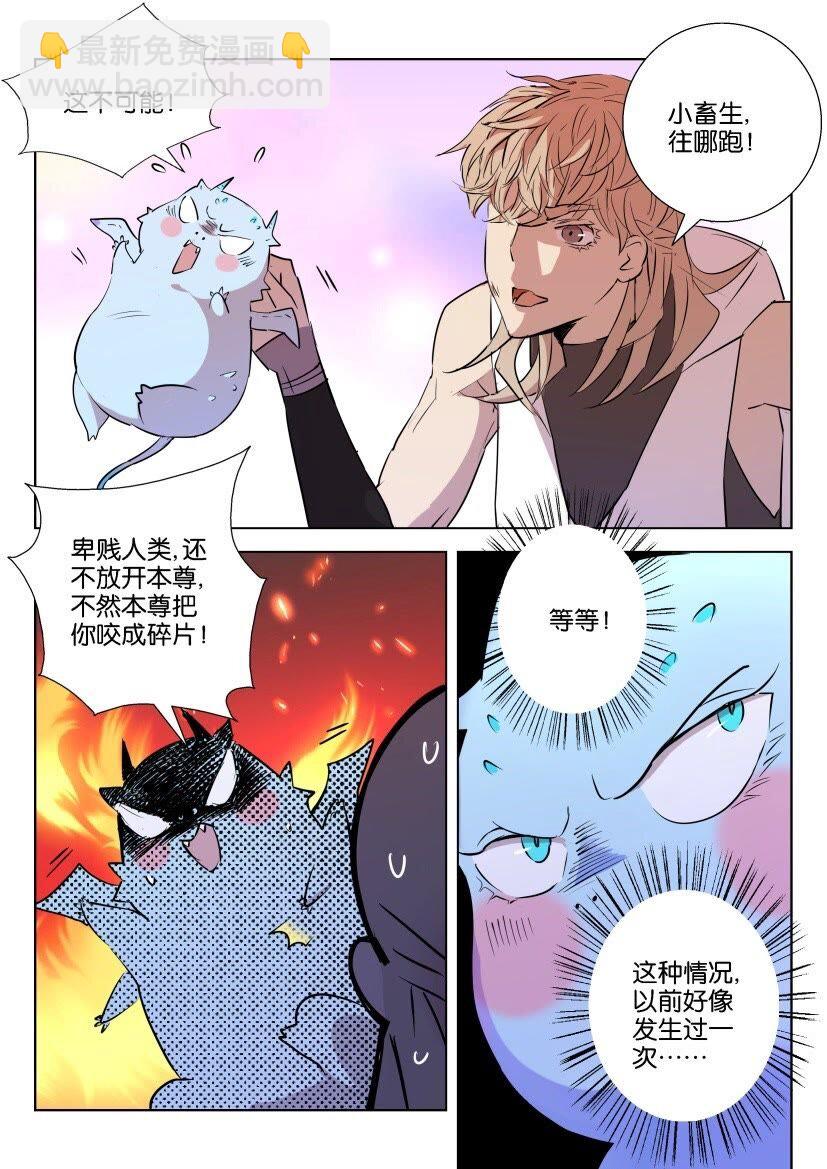 44 第39话 凶兽变萌宠3