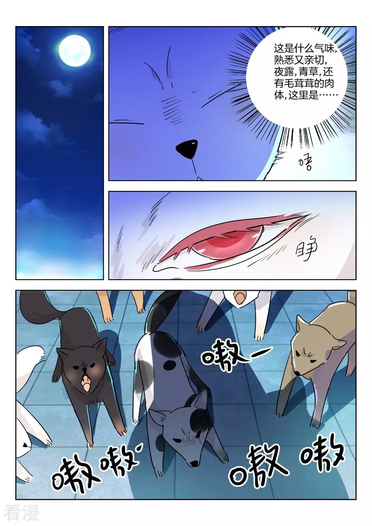 第332话 恭喜恭喜，喜得贵子5