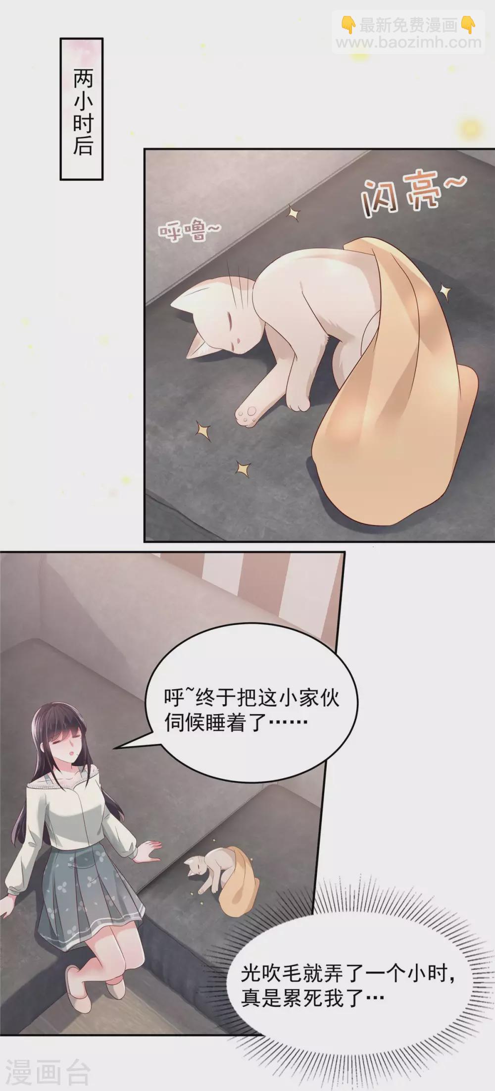第58话 捡了只小猫咪13