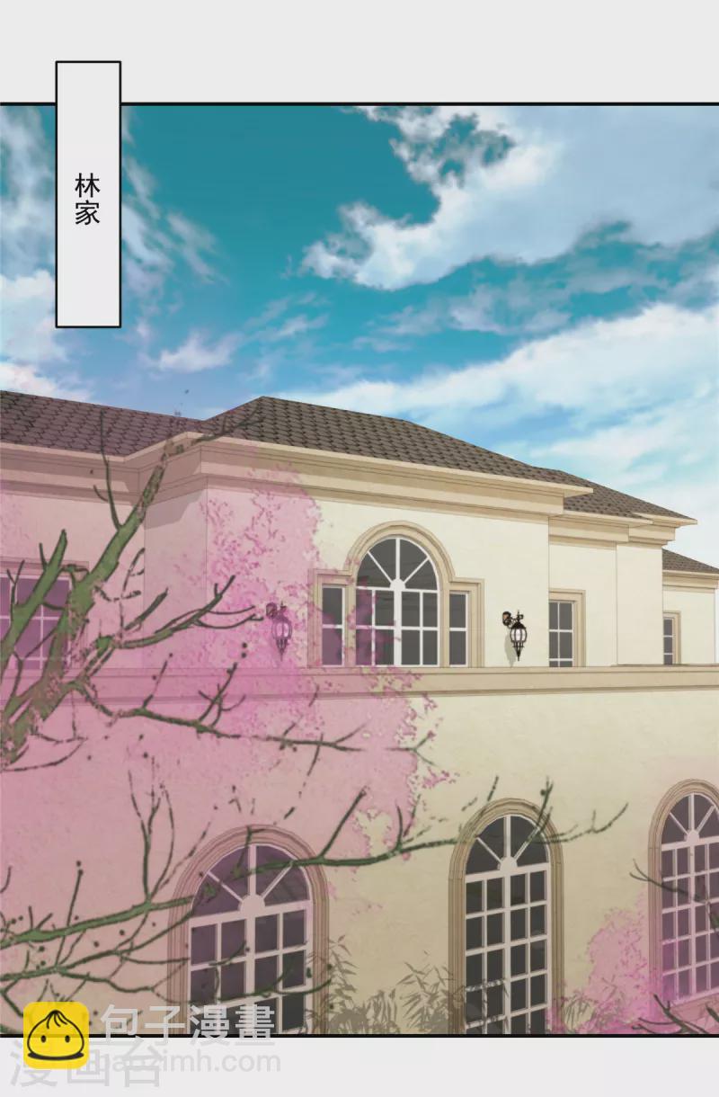 第241话 拿到资料6