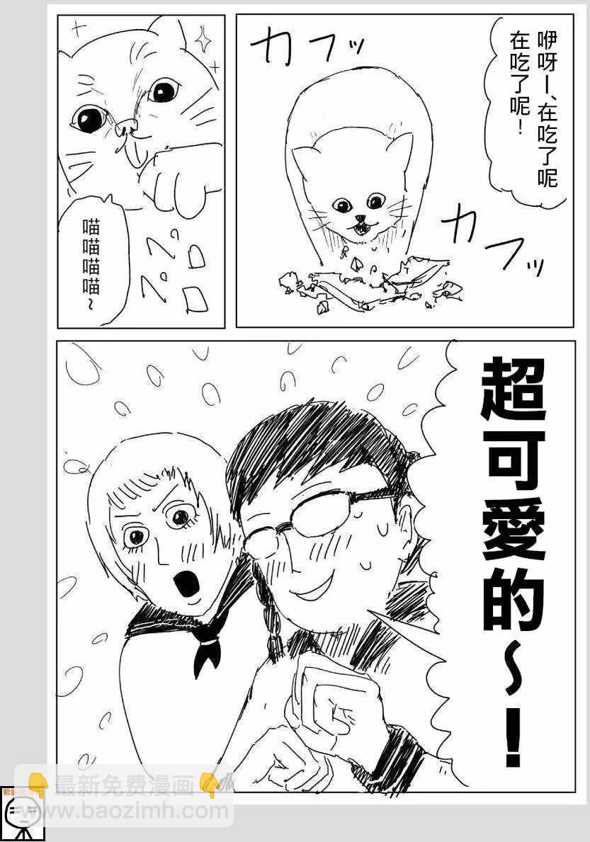 可爱的野猫3