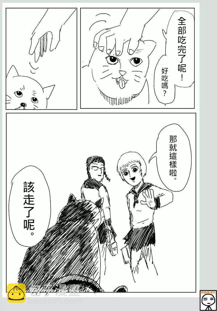 可爱的野猫4