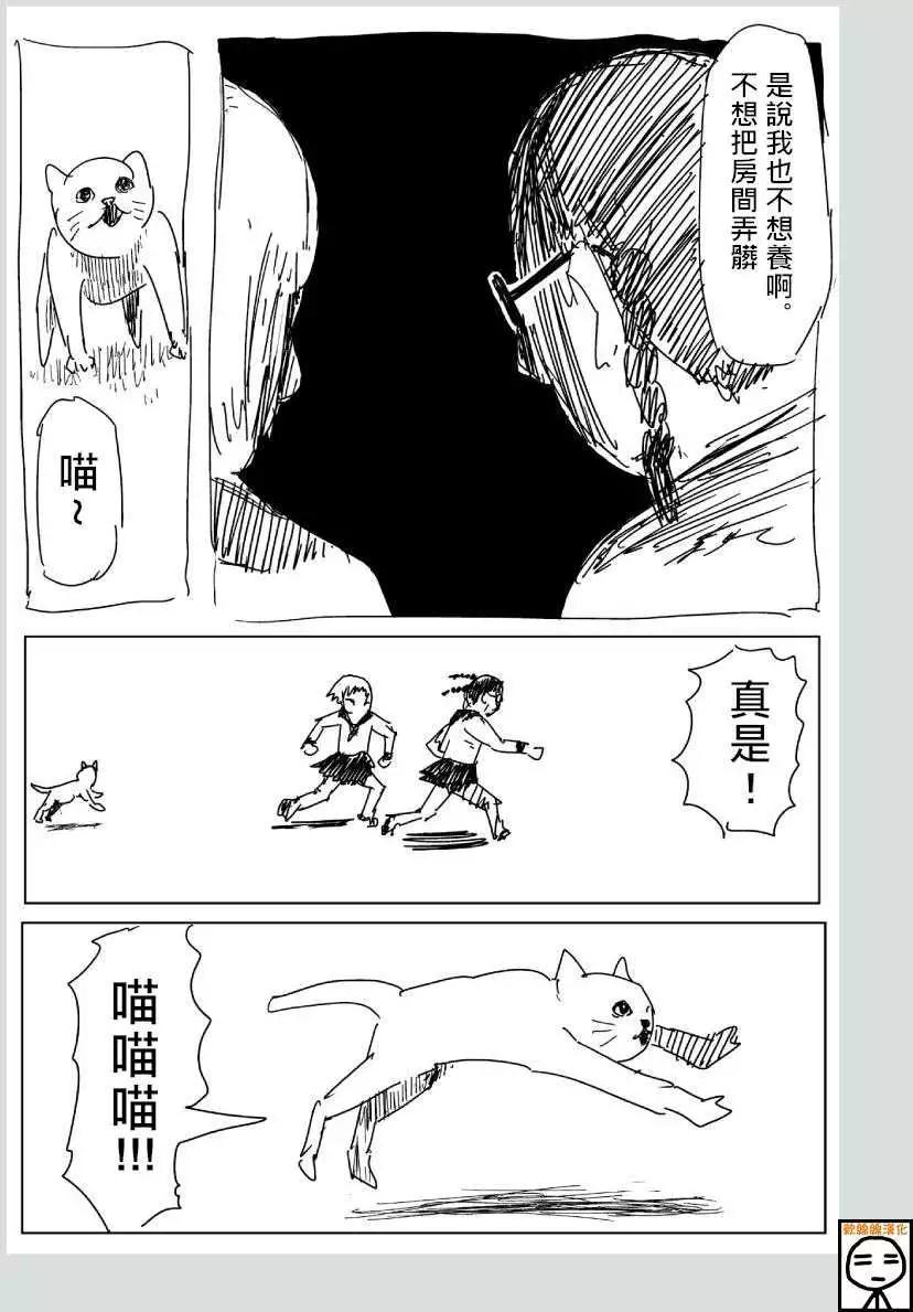 可爱的野猫6