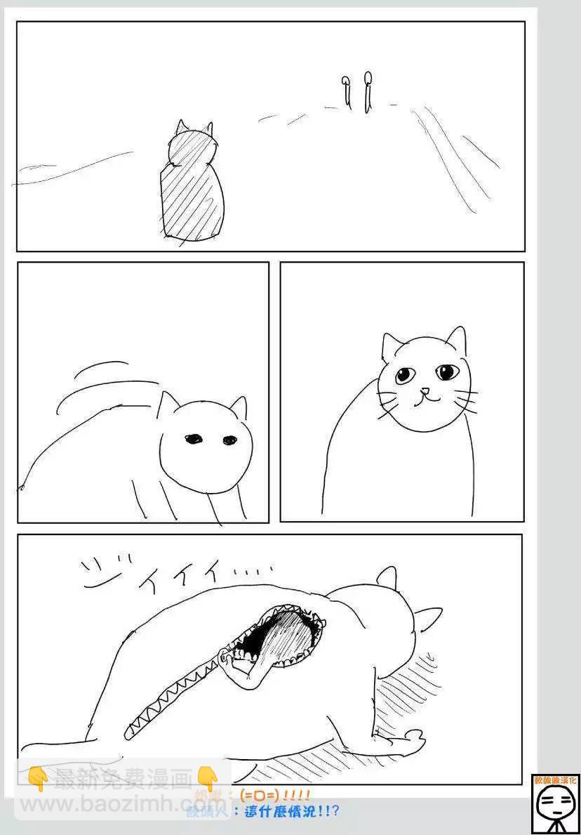 可爱的野猫8