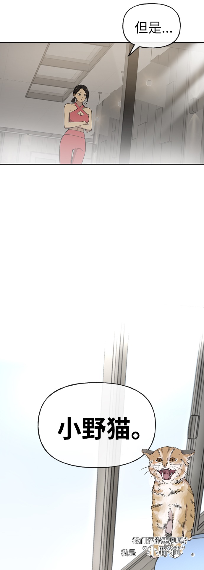 [第10话] 时尚老虎70