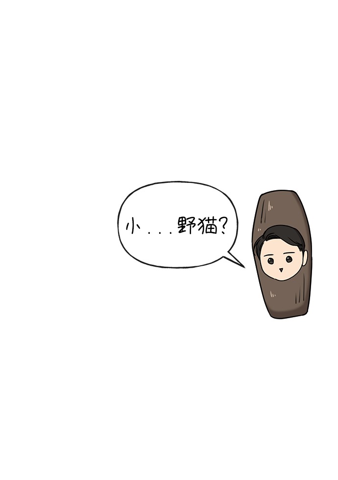 [第10话] 时尚老虎74