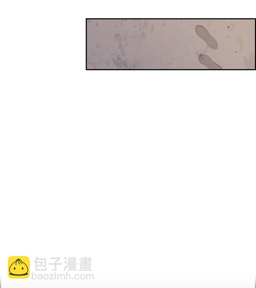 51 旅游34