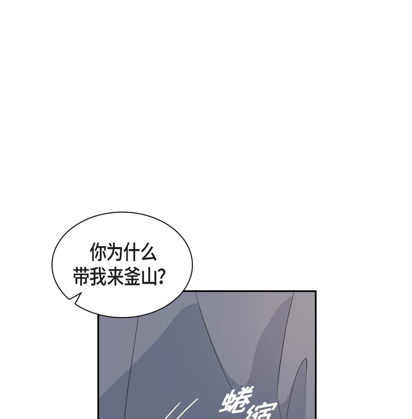 51 旅游54