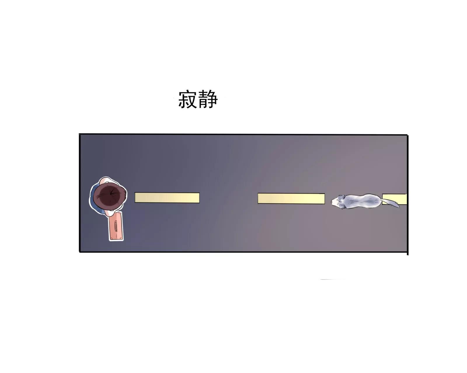 大帅的主人10