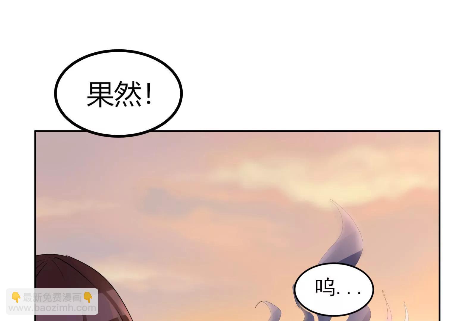 大帅的主人11