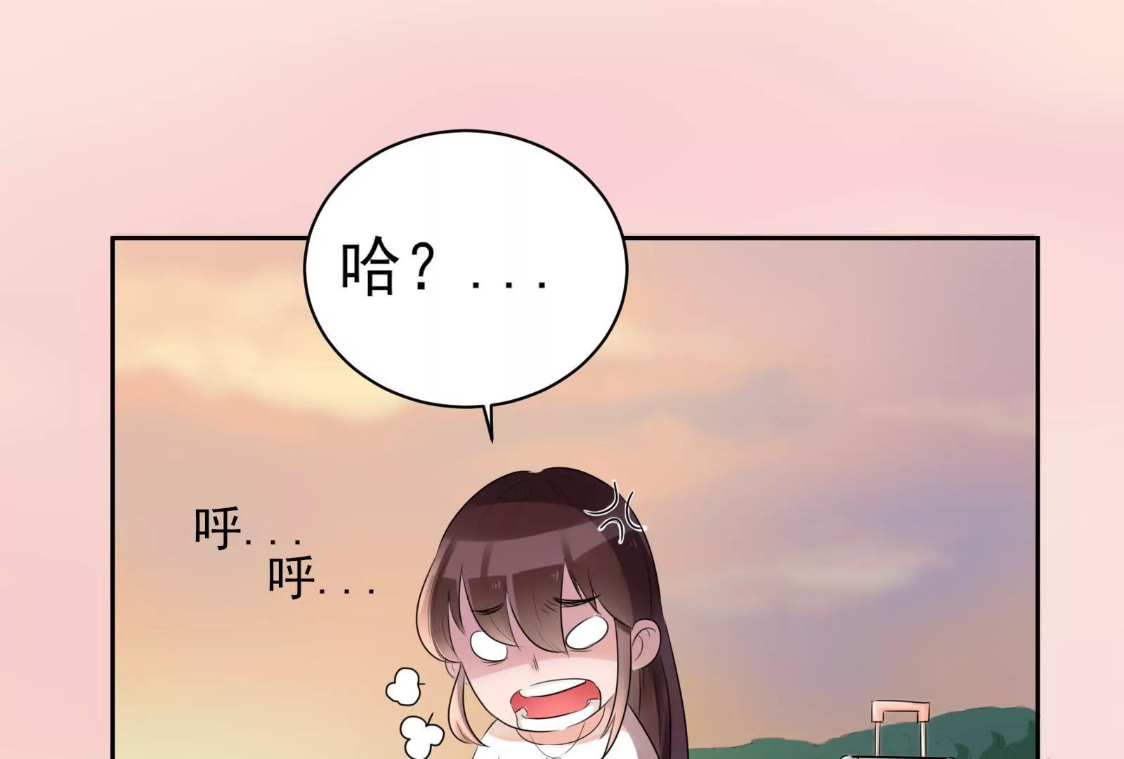 大帅的主人118