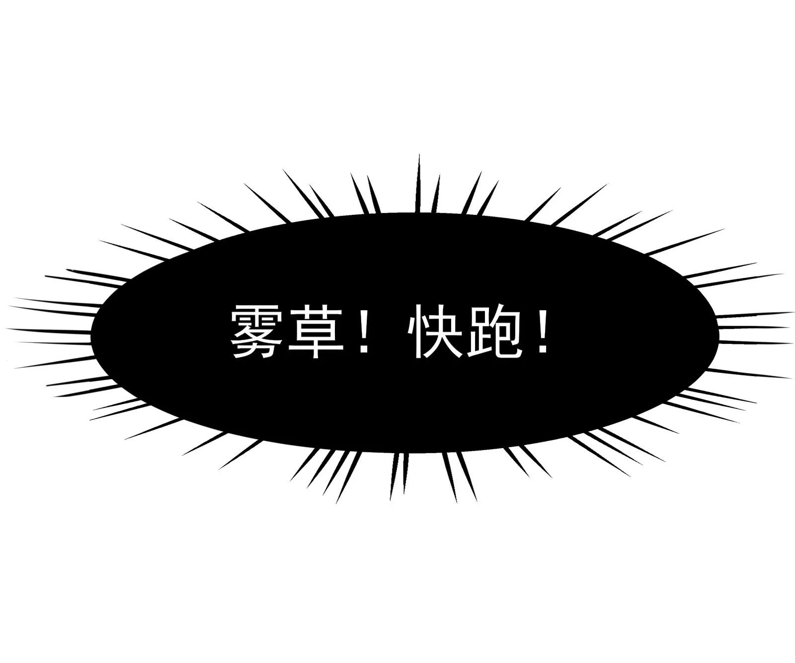 大帅的主人13