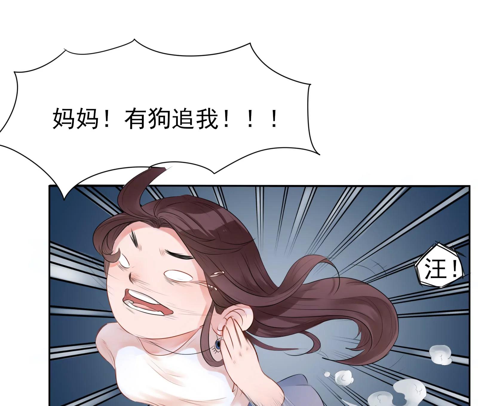 大帅的主人15