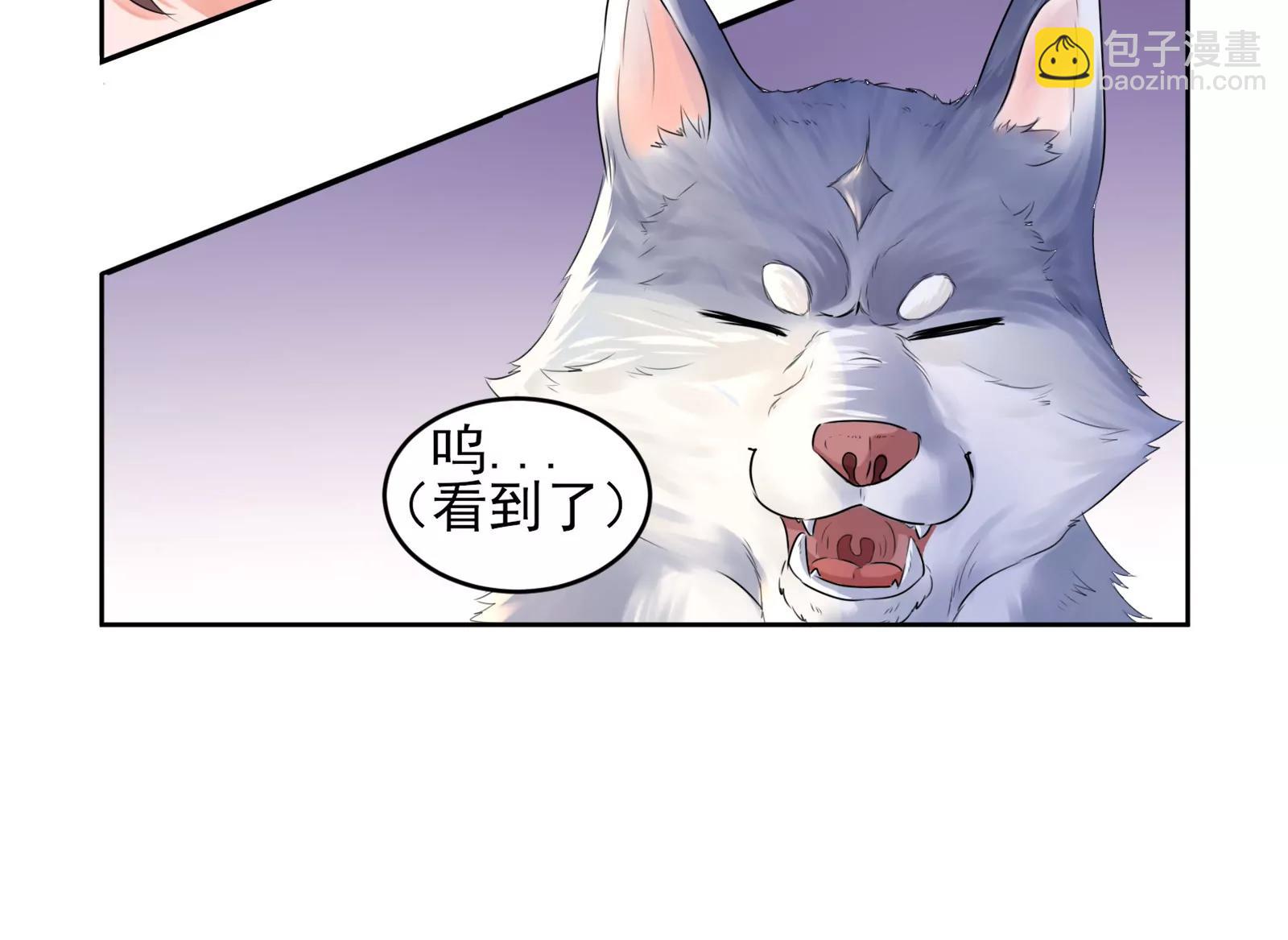 大帅的主人19