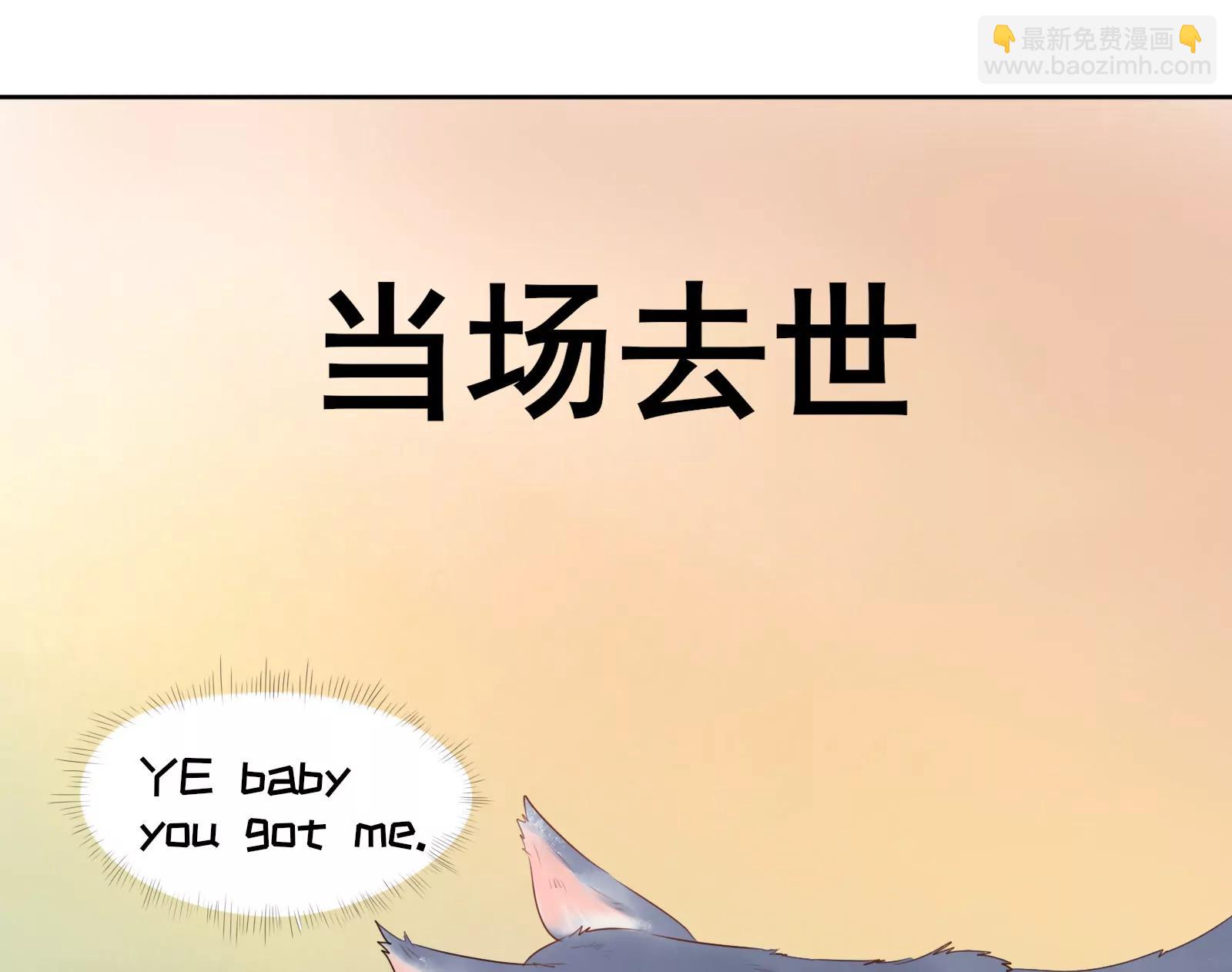 大帅的主人20