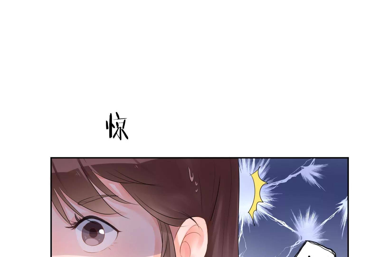 大帅的主人4