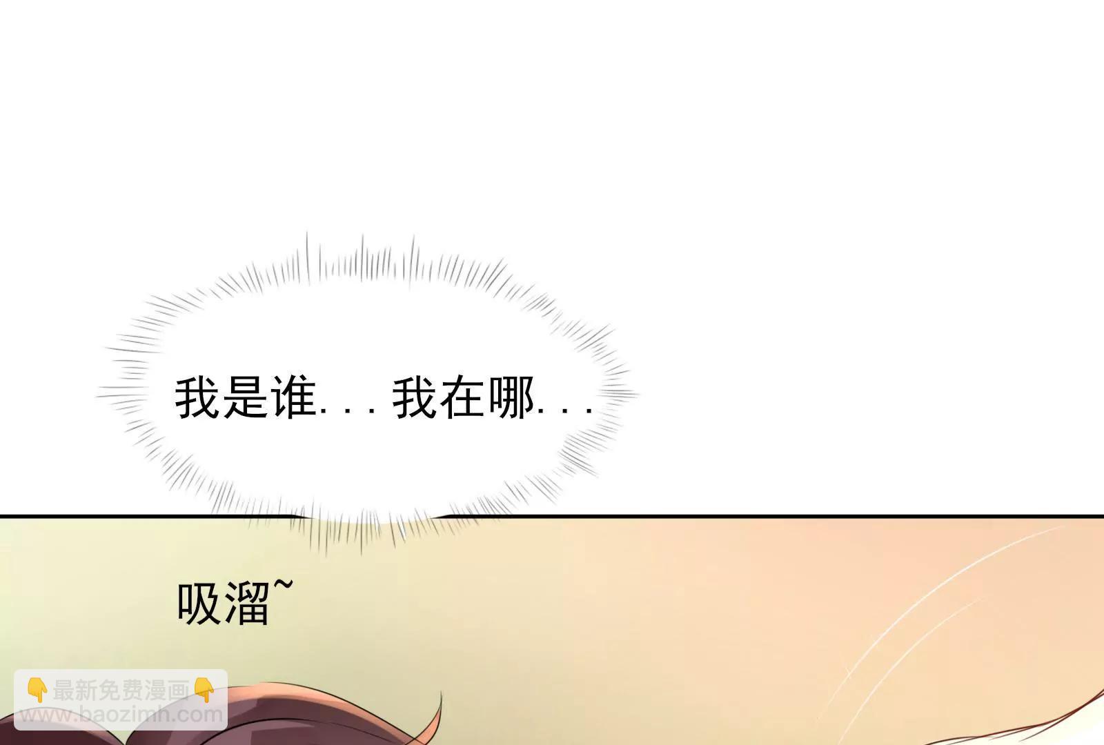 大帅的主人40