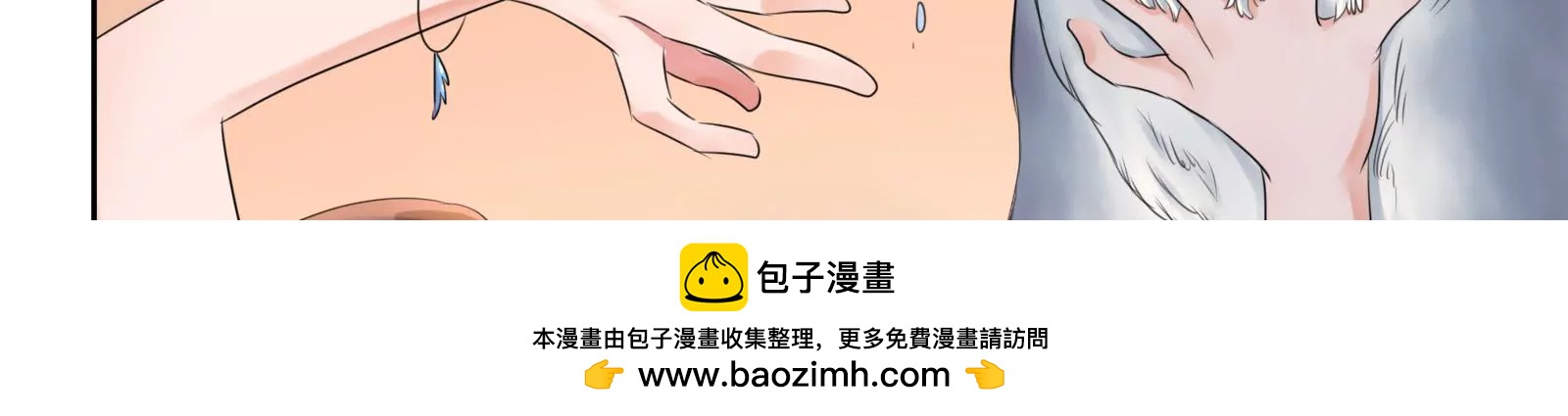 大帅的主人49