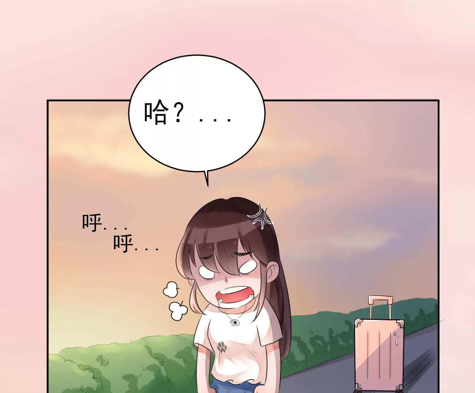 大帅的主人78