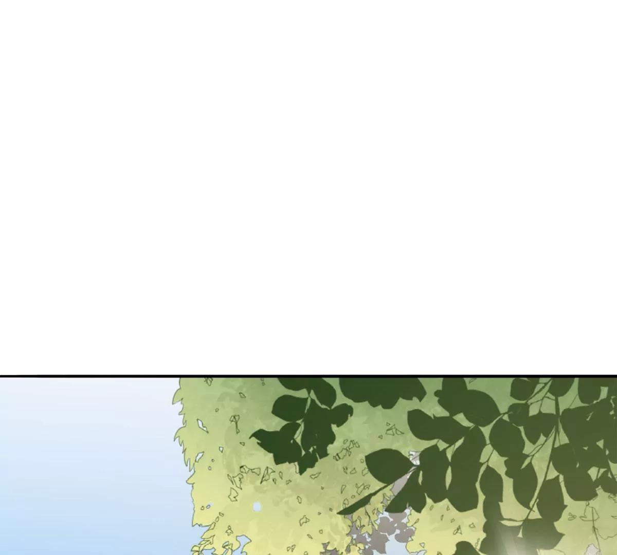 矛盾的开端29