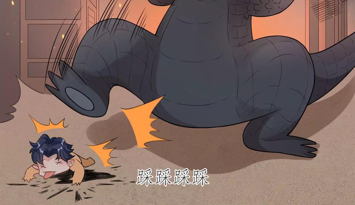 矛盾的开端65