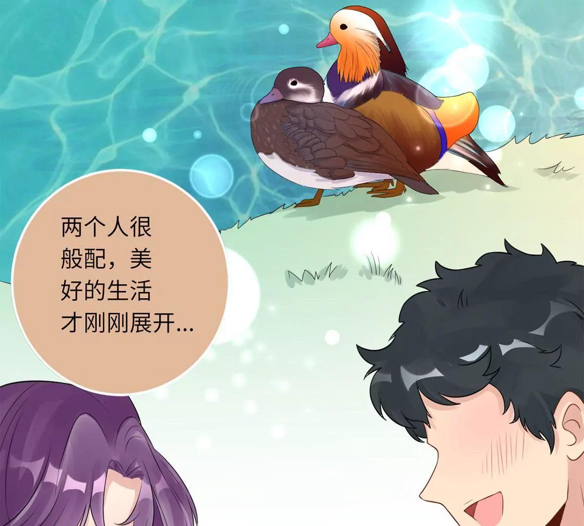 大哥的婚姻39
