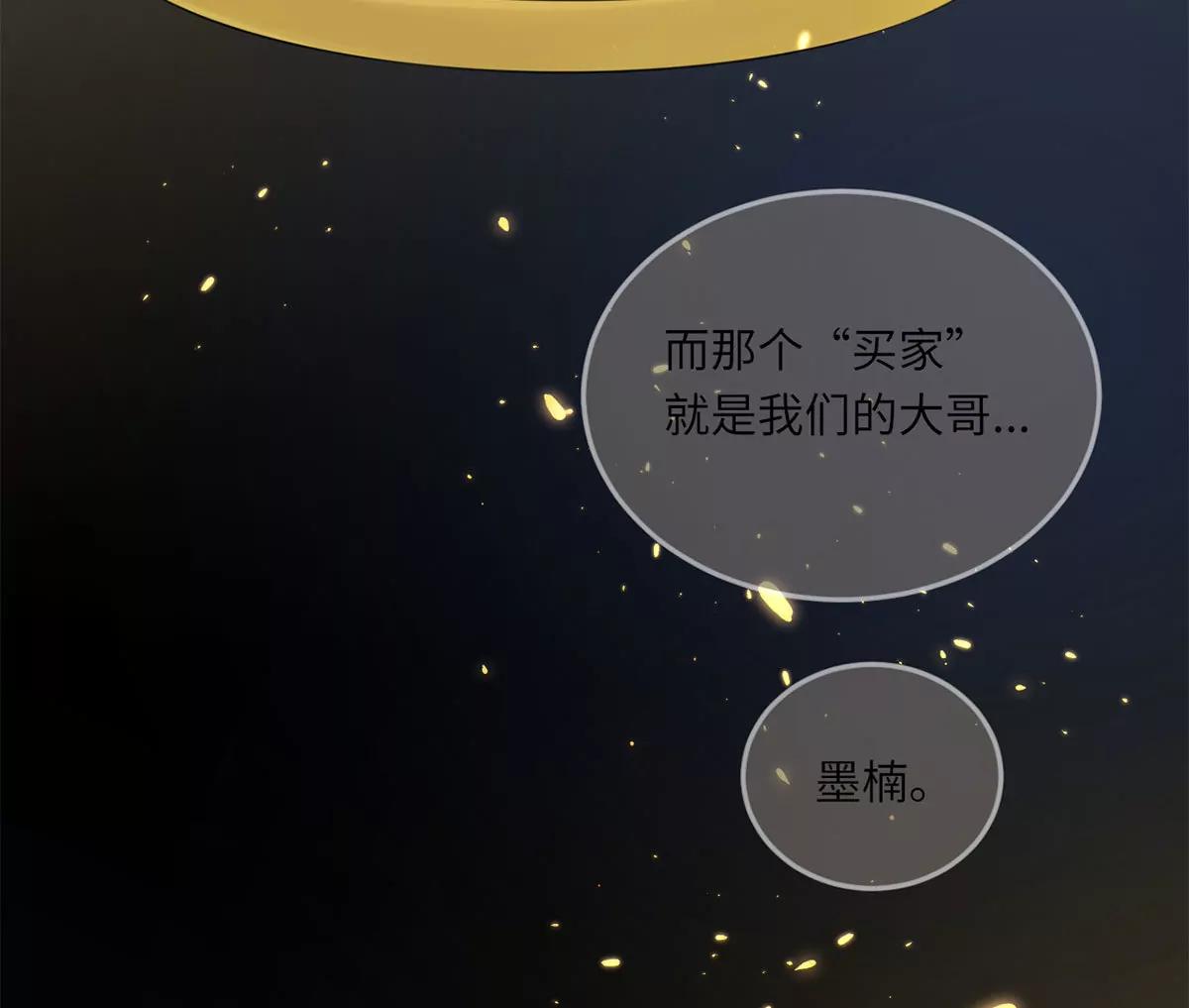 她的爱人3