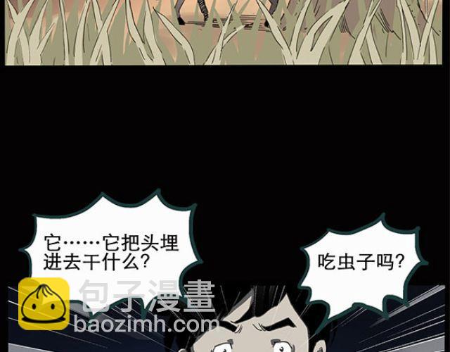 第10话 配偶树（上）10