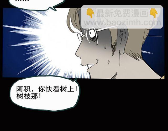 第10话 配偶树（上）12