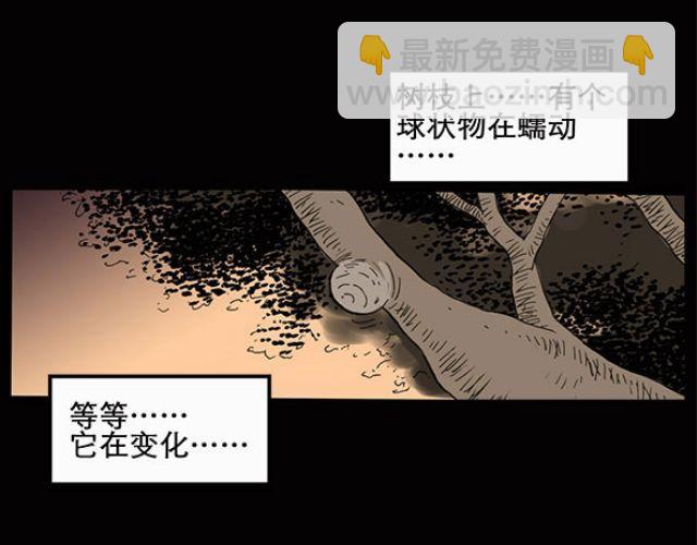 第10话 配偶树（上）13