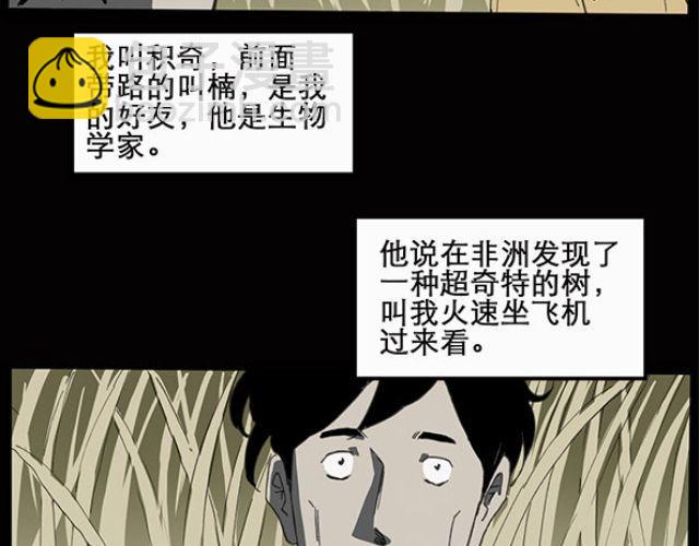 第10话 配偶树（上）2