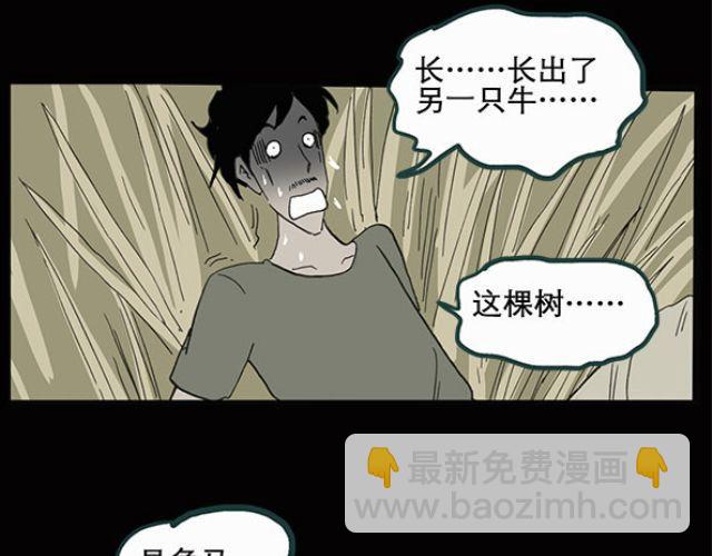 第10话 配偶树（上）26