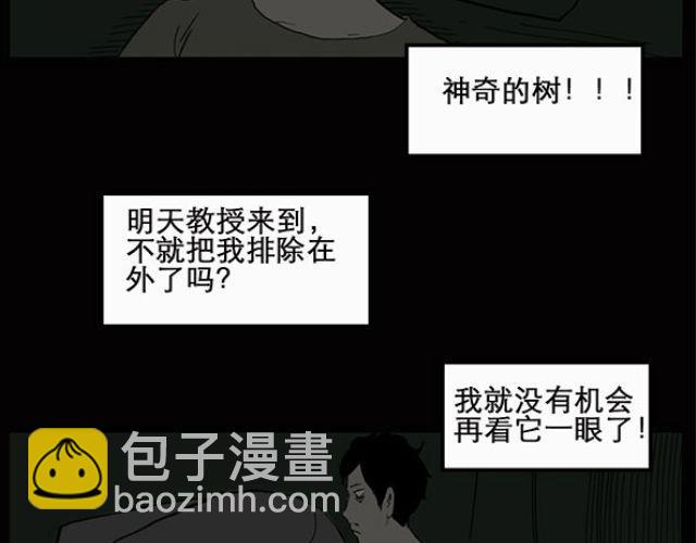 第10话 配偶树（上）34