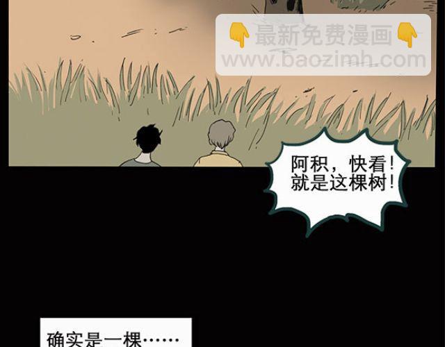 第10话 配偶树（上）4