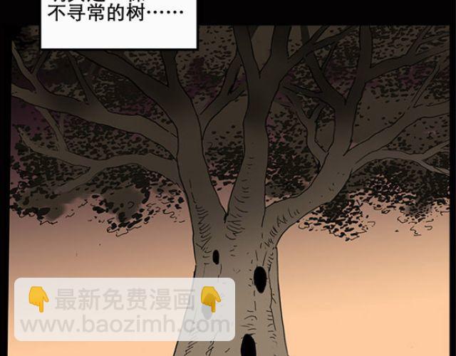 第10话 配偶树（上）5