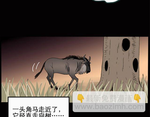 第10话 配偶树（上）8