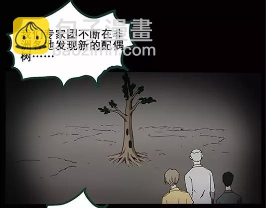 第12话 配偶树（下）46