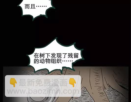 第12话 配偶树（下）51
