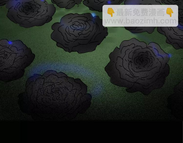 第19话 黑色牡丹花·照片760