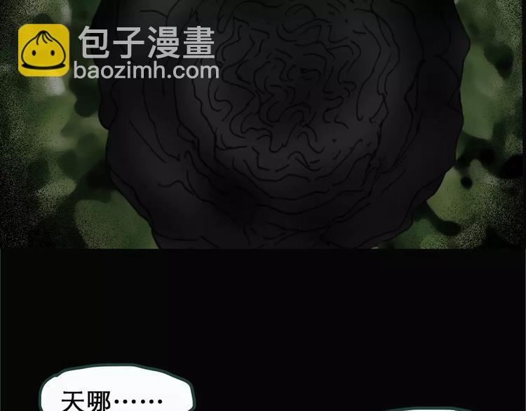 第19话 黑色牡丹花·照片776