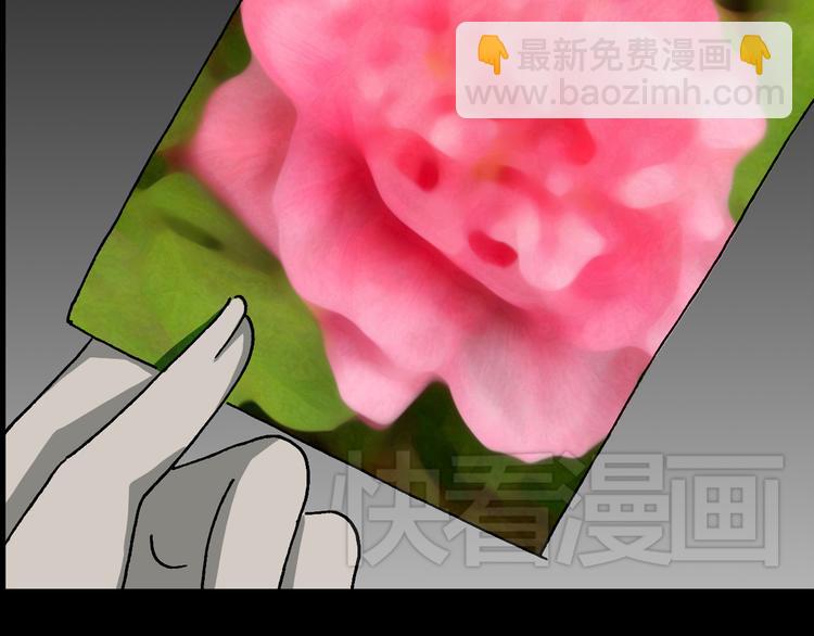 第20话 黑色牡丹花·照片871
