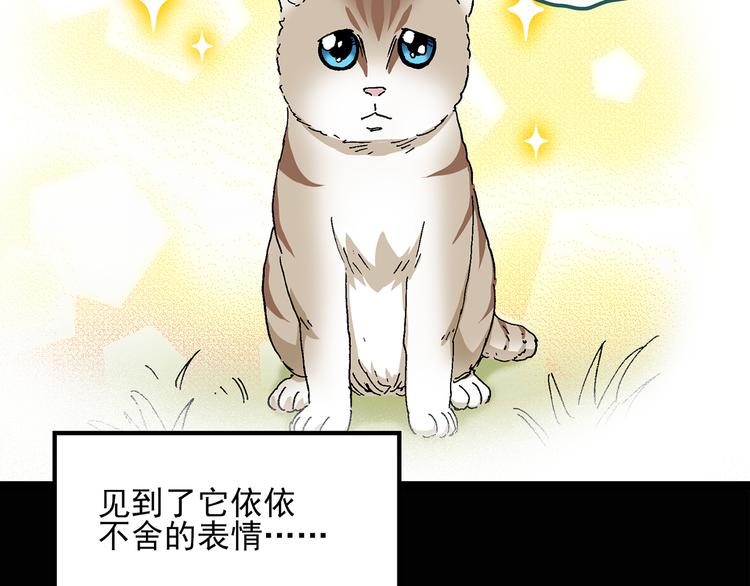 第28话 怪之猫(上)12